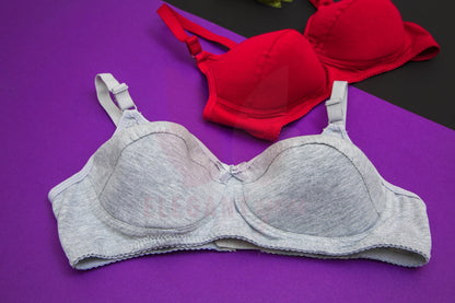 (32-42)b/c. Elegant full coverage bra (018)