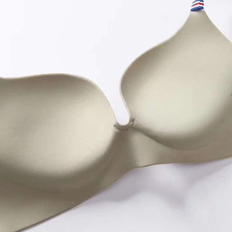 Seamless Medium Padded Daily Wear  Bra