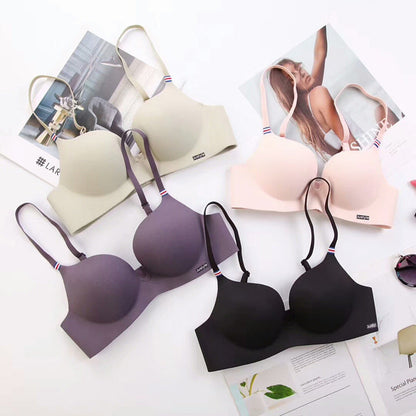 Seamless Medium Padded Daily Wear  Bra