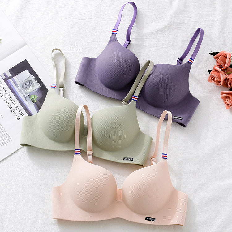 Seamless Medium Padded Daily Wear  Bra