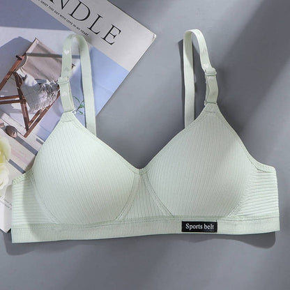 Deep Cleavage Daily Wear Light Padded Bra